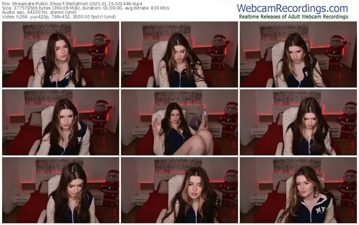 2025/01/15/streamate-stellafrost-00-14-46
