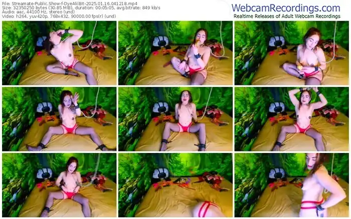 2025/01/16/streamate-dyealilbit-04-12-18