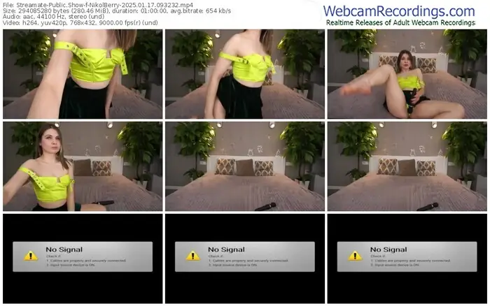 2025/01/17/streamate-nikolberry-09-32-32