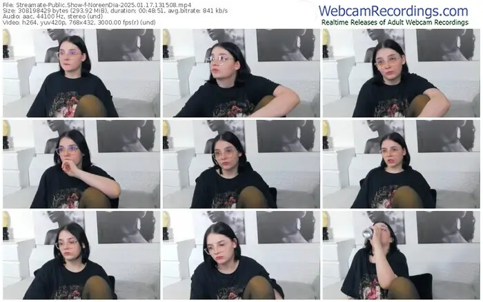 2025/01/17/streamate-noreendia-13-15-08