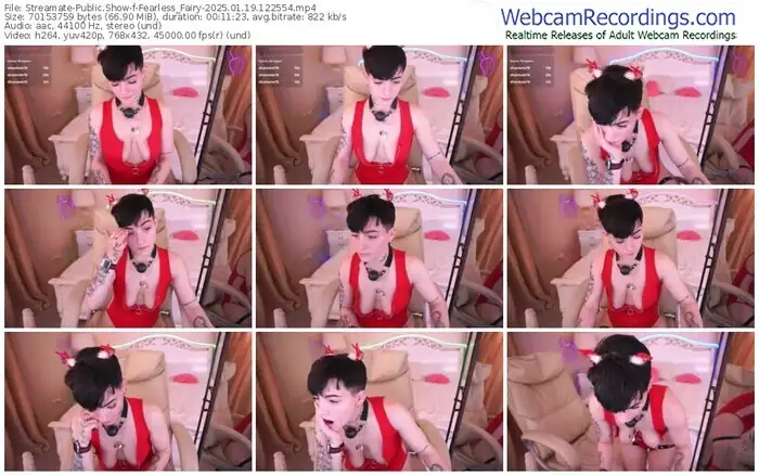 2025/01/19/streamate-fearless_fairy-12-25-54