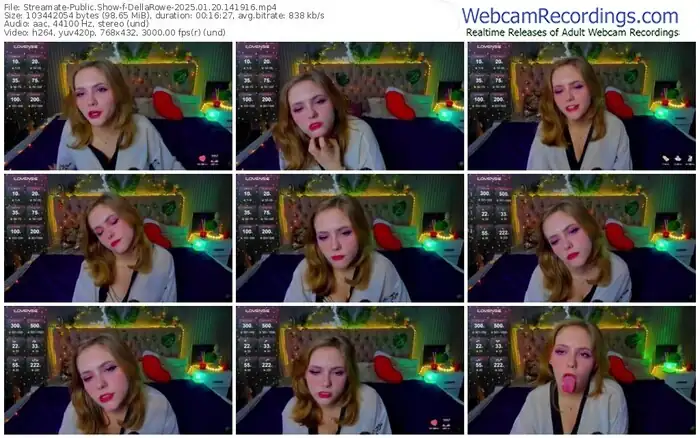 2025/01/20/streamate-dellarowe-14-19-16