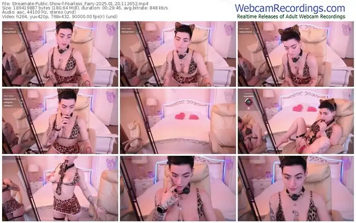 2025/01/20/streamate-fearless_fairy-11-26-52