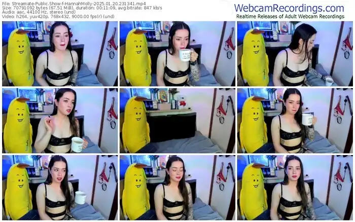 2025/01/20/streamate-hannahmolly-23-13-41