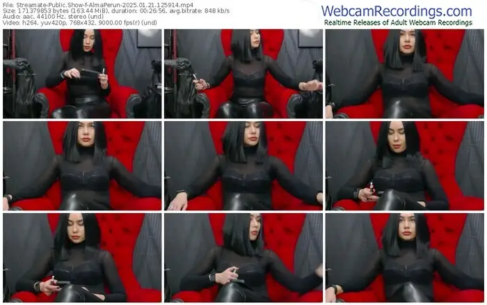 2025/01/21/streamate-almaperun-12-59-14