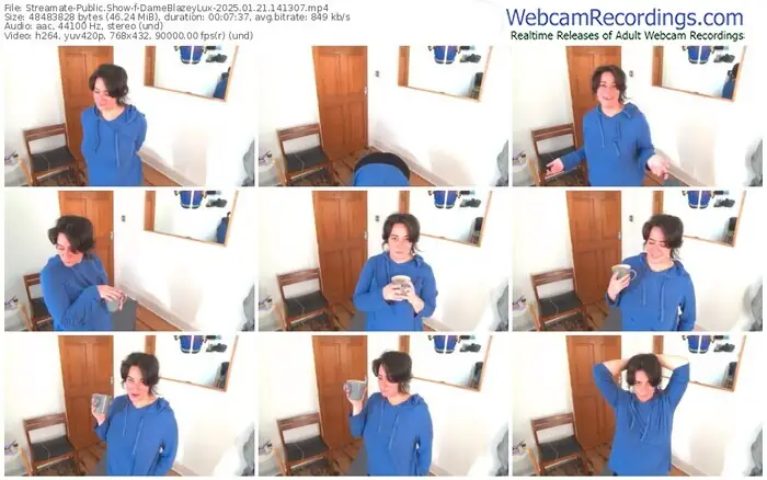 2025/01/21/streamate-dameblazeylux-14-13-07