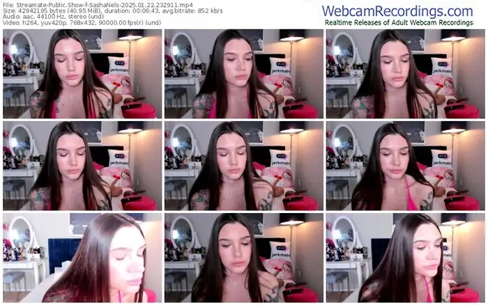 2025/01/22/streamate-sashanels-23-29-11