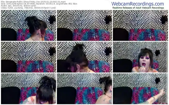 2025/01/23/streamate-kitty_fox-00-11-31