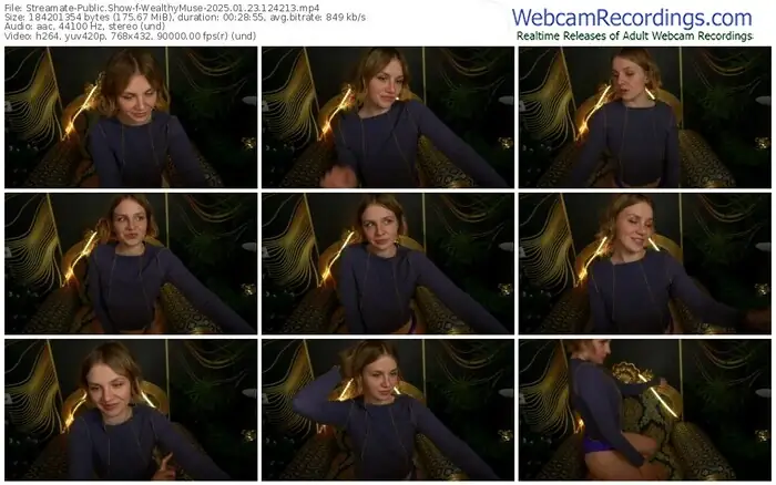 2025/01/23/streamate-wealthymuse-12-42-13