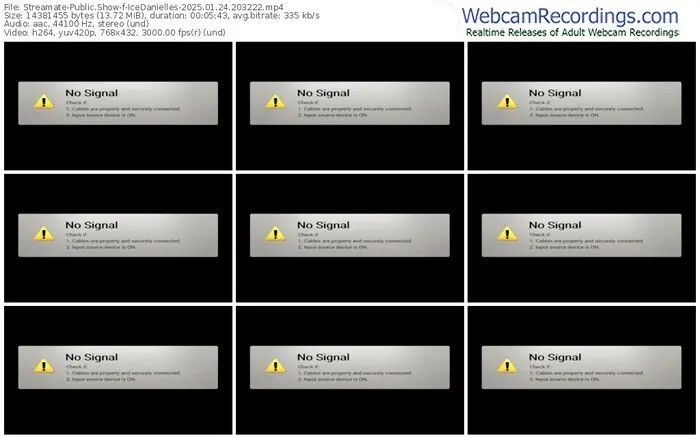 2025/01/24/streamate-icedanielles-20-32-22