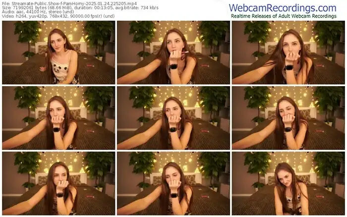 2025/01/24/streamate-pamhorny-22-52-05