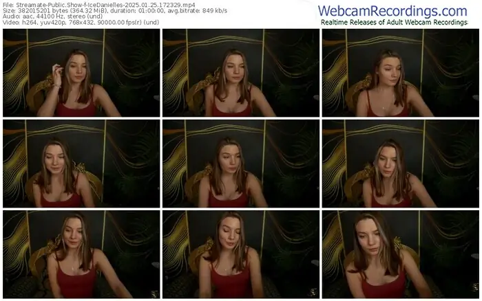 2025/01/25/streamate-icedanielles-17-23-29