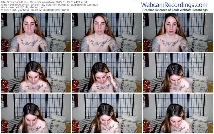 2025/01/25/streamate-sheenarose-01-44-22