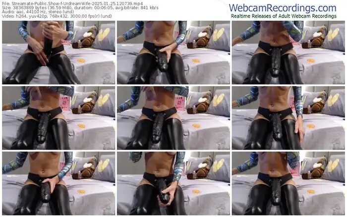 2025/01/25/streamate-urdreamwife-12-07-39