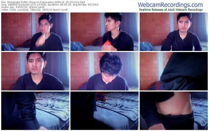 2025/01/25/streamate-davislewis-21-02-12