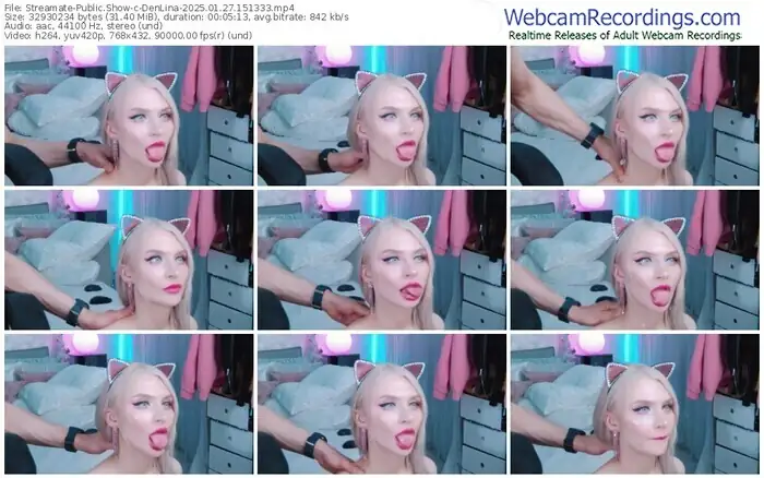 2025/01/27/streamate-denlina-15-13-33