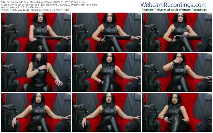 2025/01/27/streamate-almaperun-09-32-43