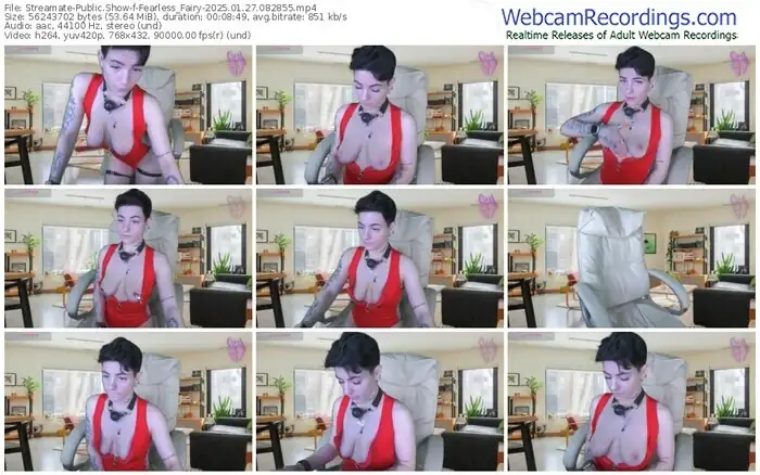 2025/01/27/streamate-fearless_fairy-08-28-55