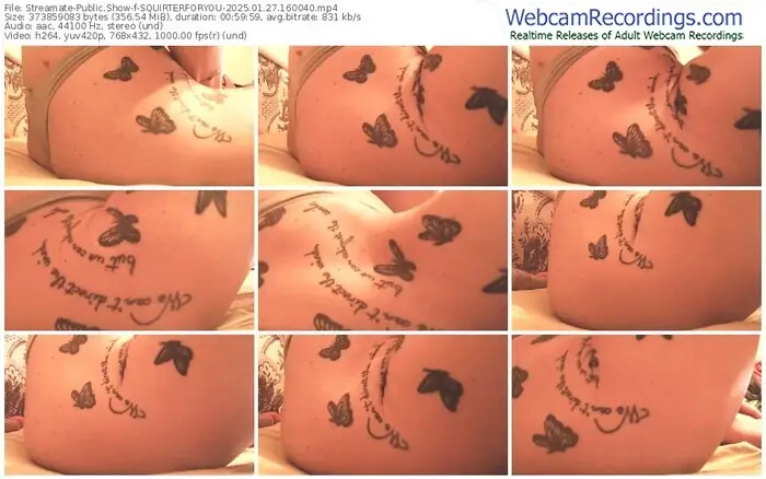 2025/01/27/streamate-squirterforyou-16-00-40