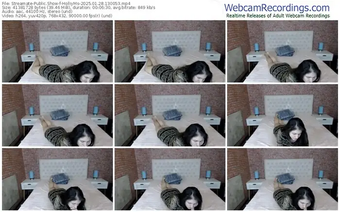 2025/01/28/streamate-holliyms-13-00-53