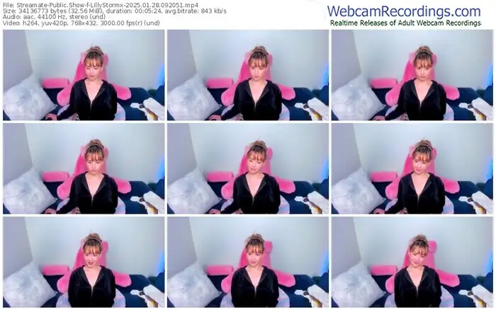 2025/01/28/streamate-lillystormx-09-20-51