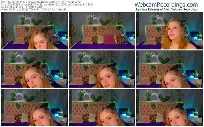2025/01/29/streamate-dellarowe-16-59-43