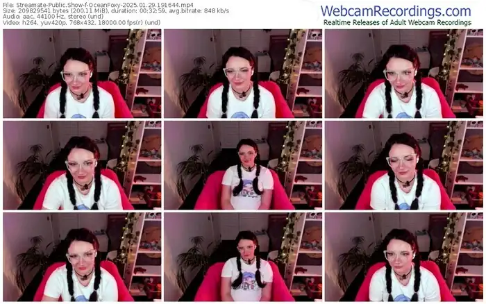 2025/01/29/streamate-oceanfoxy-19-16-44