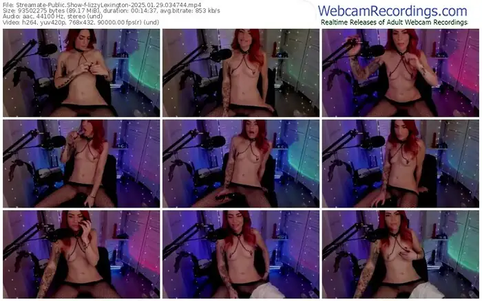2025/01/29/streamate-lizzylexington-03-47-44