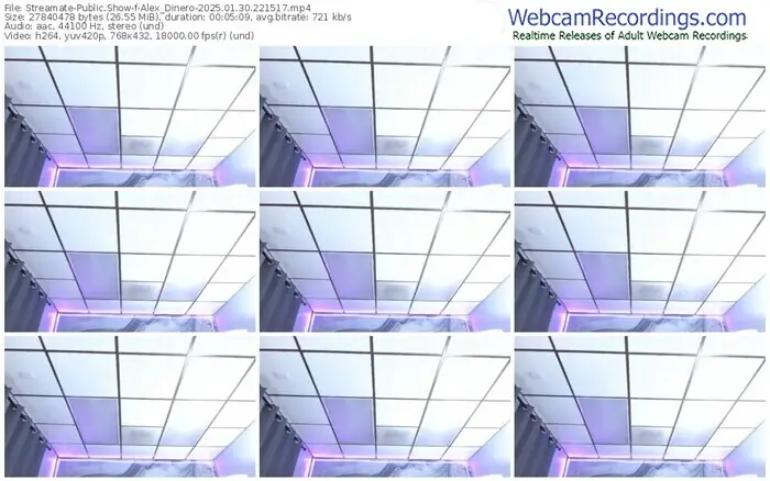 2025/01/30/streamate-alex_dinero-22-15-17