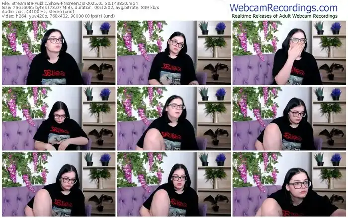 2025/01/30/streamate-noreendia-14-38-20