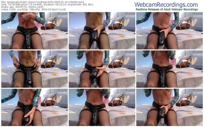 2025/01/30/streamate-urdreamwife-16-56-50