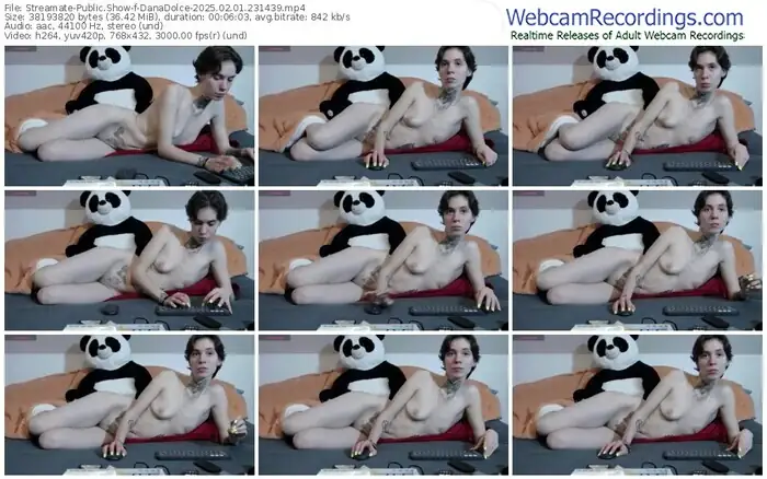 2025/02/01/streamate-danadolce-23-14-39