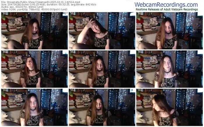 2025/02/01/streamate-seamaidx-14-25-14