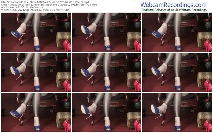 2025/02/03/streamate-mistressvivian-19-54-13