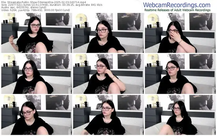 2025/02/03/streamate-noreendia-04-37-14