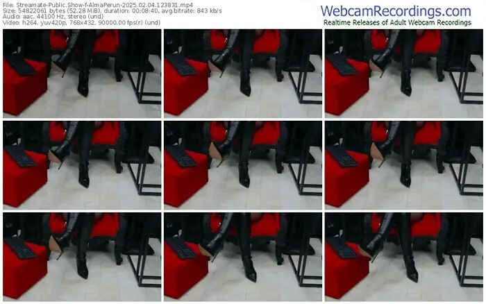 2025/02/04/streamate-almaperun-12-38-31