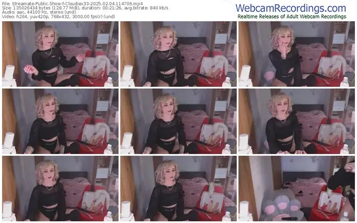 2025/02/04/streamate-cloudiex33-11-47-06