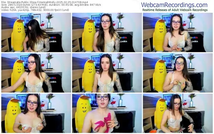 2025/02/05/streamate-hannahmolly-01-47-08