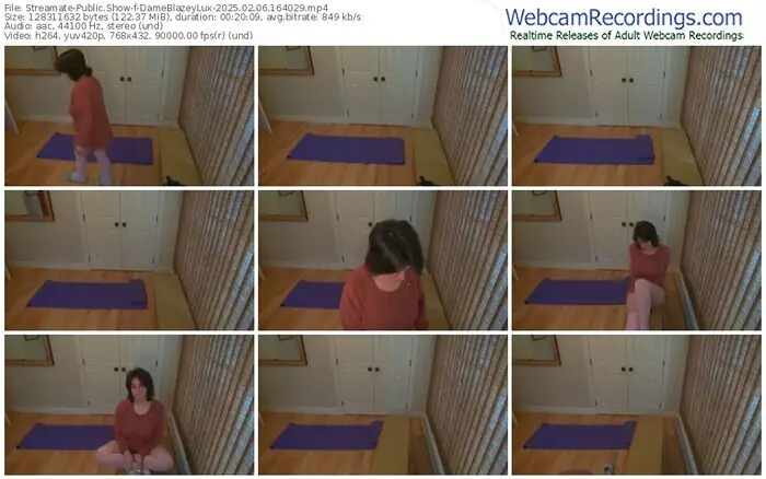 2025/02/06/streamate-dameblazeylux-16-40-29