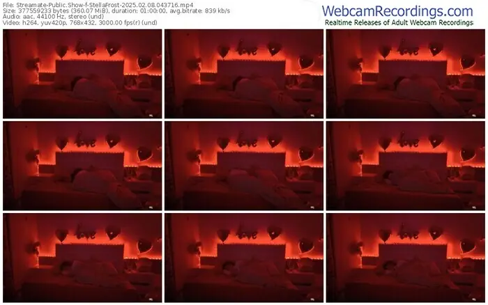 2025/02/08/streamate-stellafrost-04-37-16