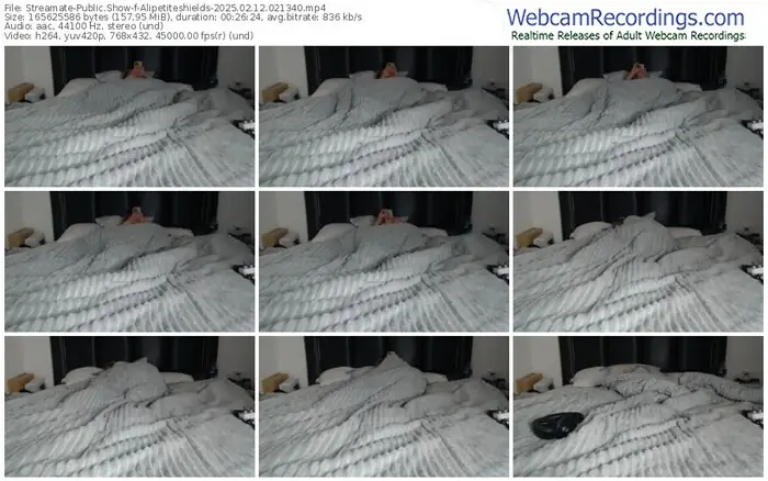 2025/02/12/streamate-alipetiteshields-02-13-40