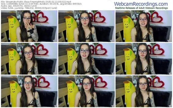 2025/02/12/streamate-hannahmolly-00-10-22