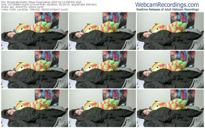2025/02/12/streamate-kayleekey-06-54-01