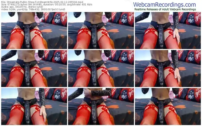 2025/02/12/streamate-urdreamwife-20-55-04