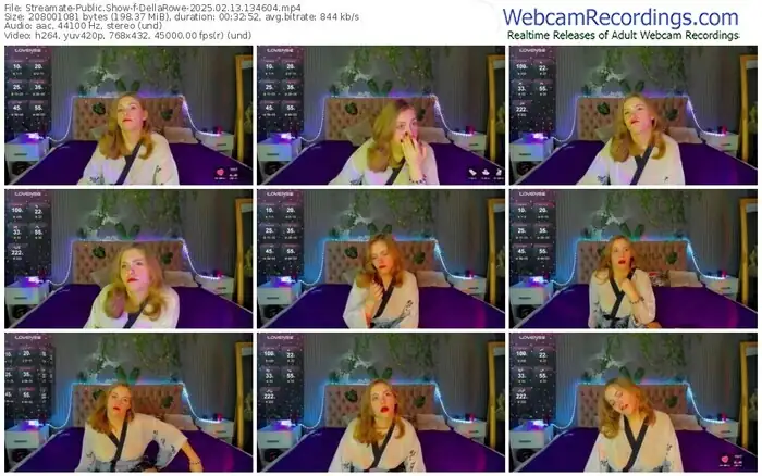 2025/02/13/streamate-dellarowe-13-46-04