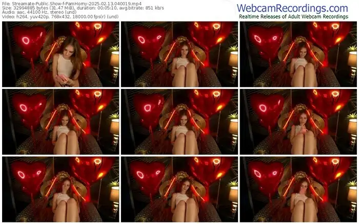 2025/02/13/streamate-pamhorny-04-00-19