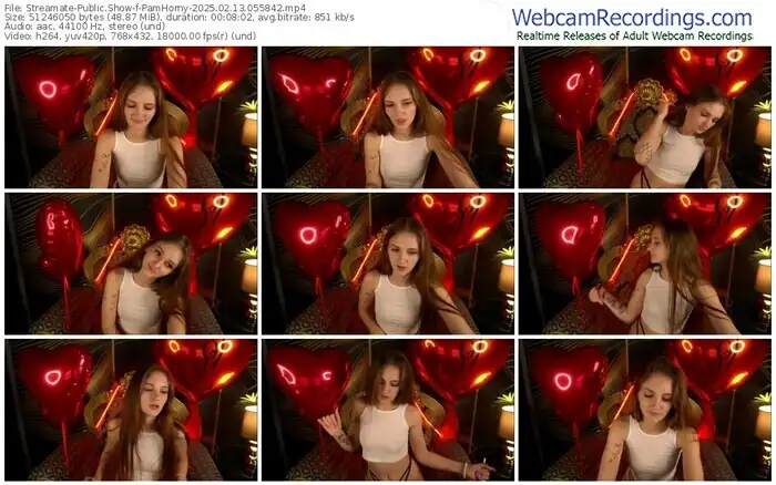 2025/02/13/streamate-pamhorny-05-58-42