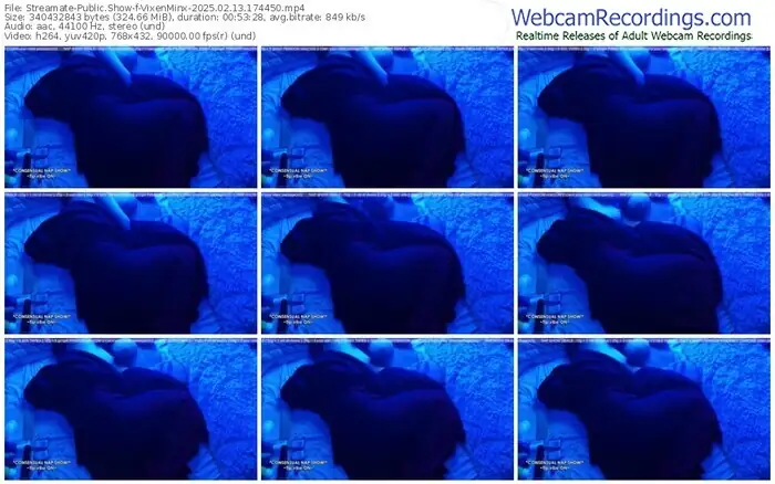 2025/02/13/streamate-vixenminx-17-44-50