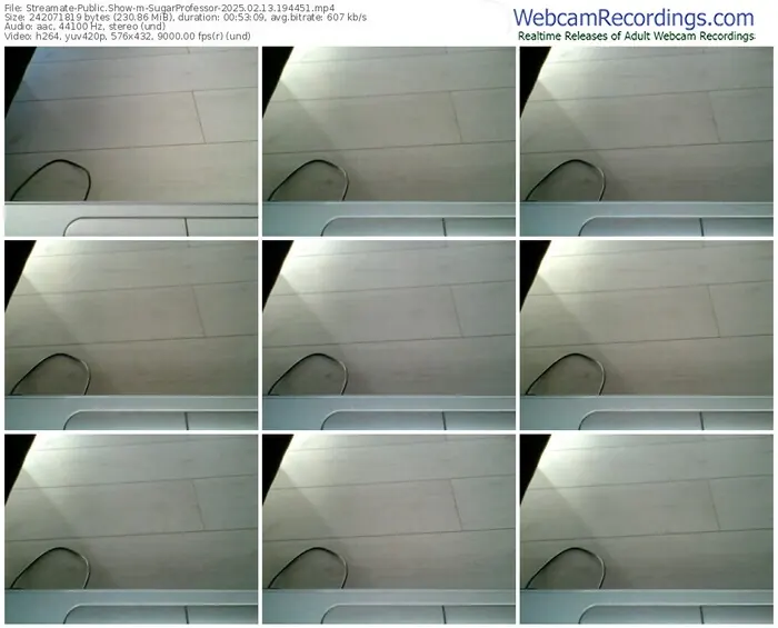 2025/02/13/streamate-sugarprofessor-19-44-51