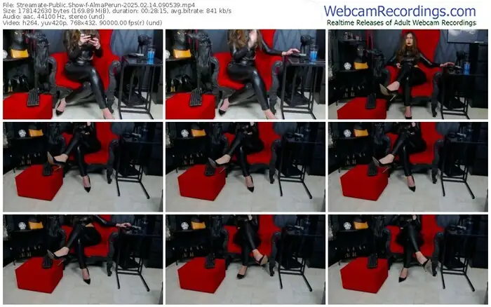 2025/02/14/streamate-almaperun-09-05-39